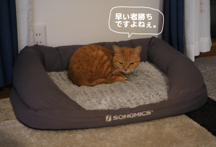14日ブログ４