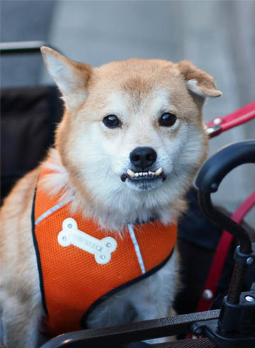 23日ブログ10.jpg