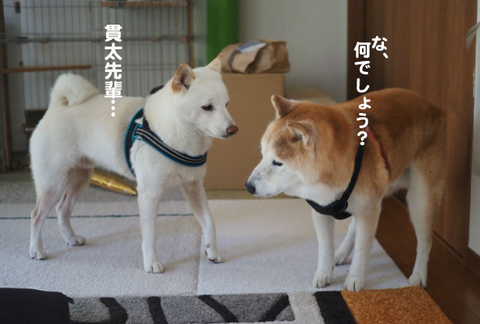 10日夕ブログ３