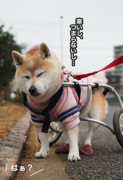 6日ブログ４
