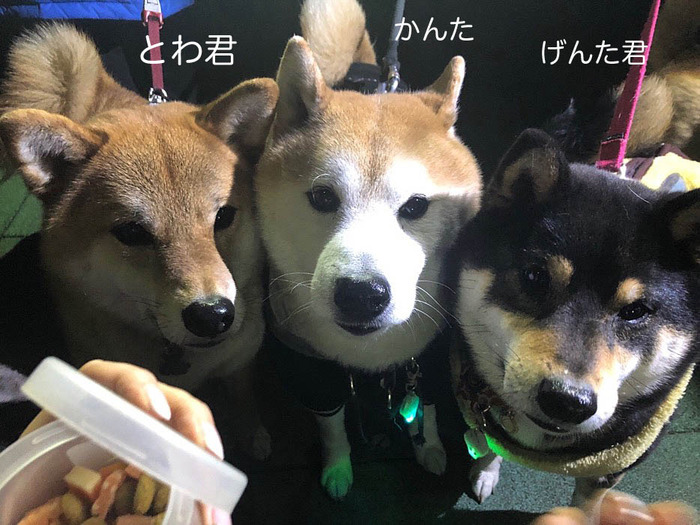 26日ブログ１