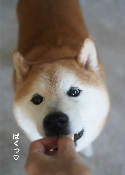 15日夕ブログ5