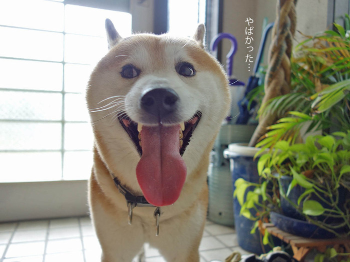 21日ブログ4