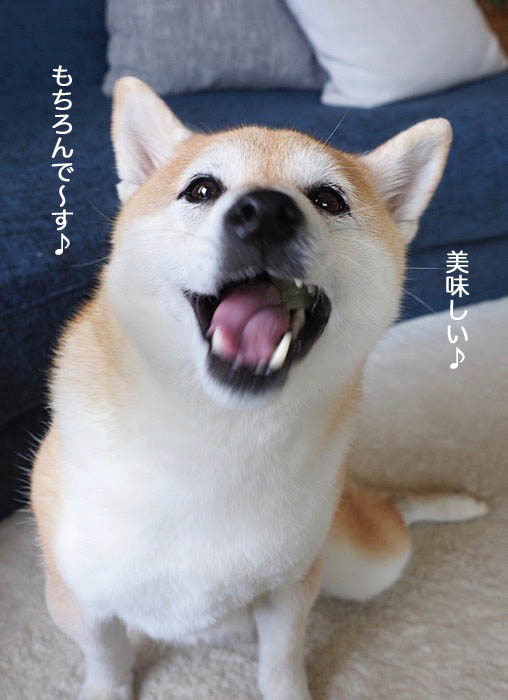 14日ブログ１４