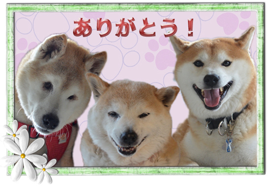 22日ブログ4.jpg