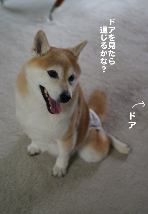 29日夜ブログ３