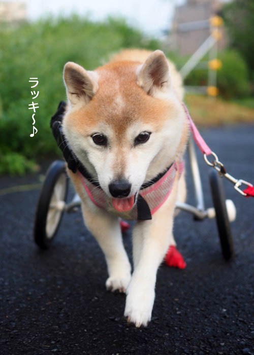 12日ブログ３