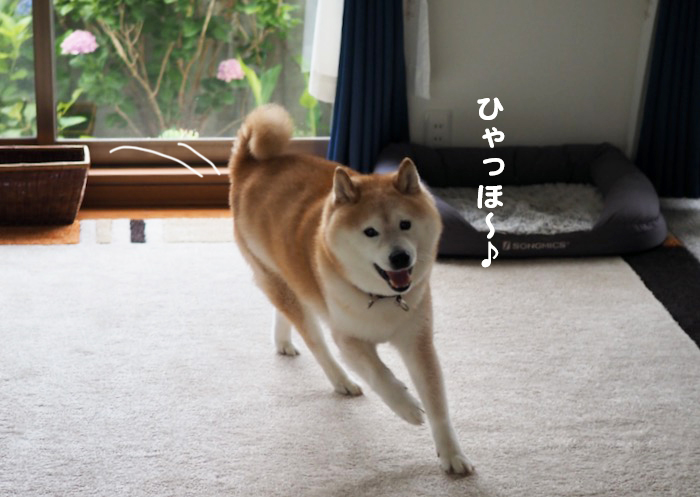 14日夕ブログ4