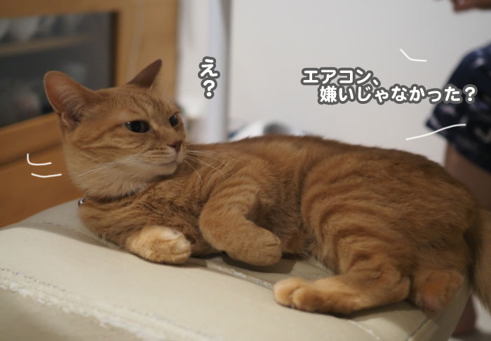 17日夕ブログ4