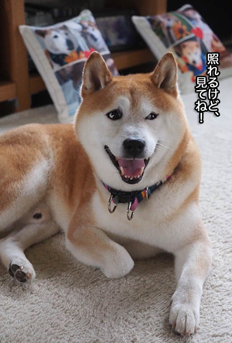 22日ブログ４