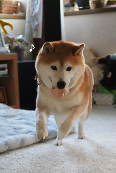 8日夜ブログ３