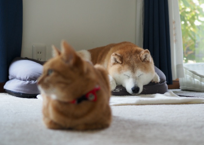 29日ブログ２