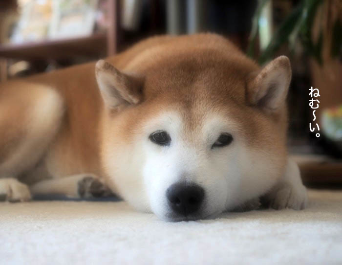 18日夜ブログ４