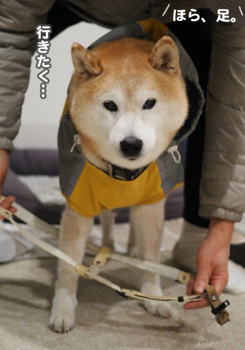 27日ブログ４