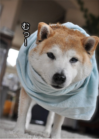7日ブログ３.jpg