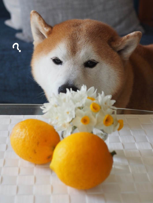 20日夜ブログ１１