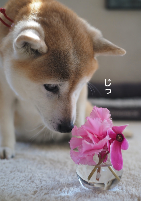 13日夜ブログ３
