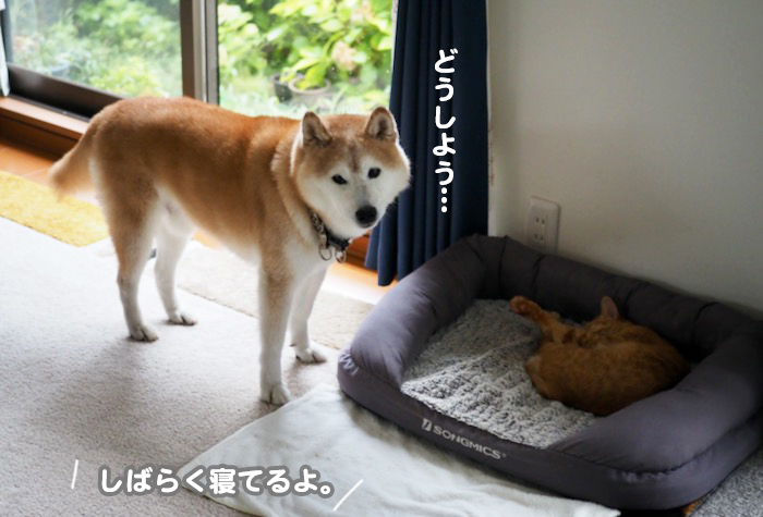 11日ブログ１３