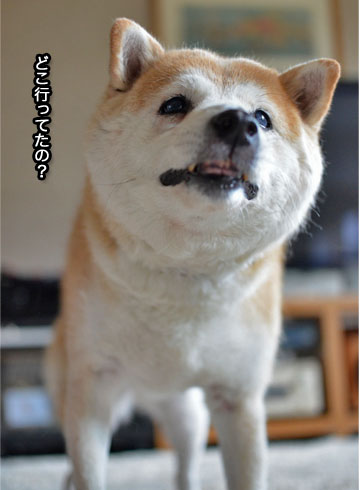28日ブログ10.jpg