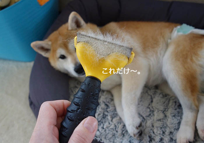 18日夜ブログ５