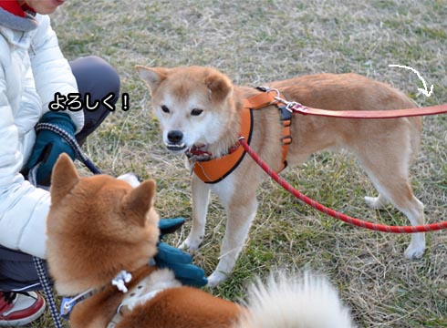26日ブログ5.jpg
