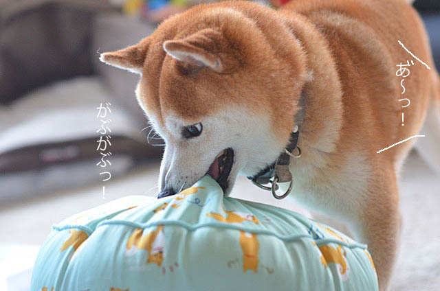 21日ブログ11