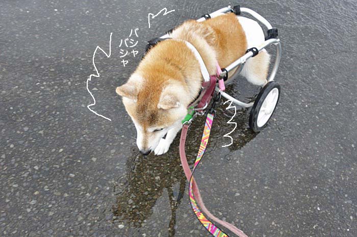 9日朝ブログ２
