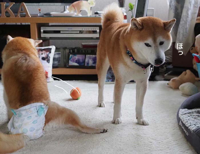 2日ブログ5