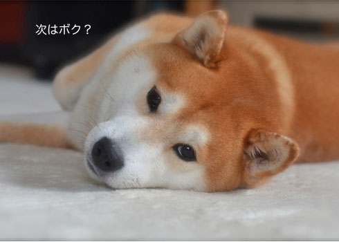 28日ブログ9.jpg
