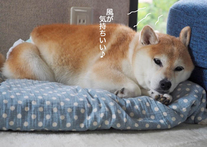 13日夜ブログ２