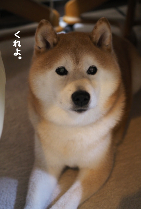 2日ブログ３
