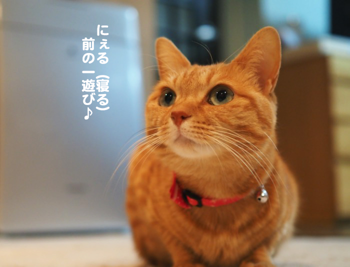 15日ブログ３