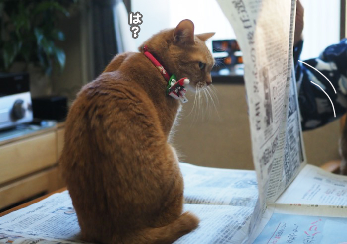 23日夕ブログ２