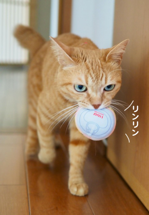 29日ブログ２