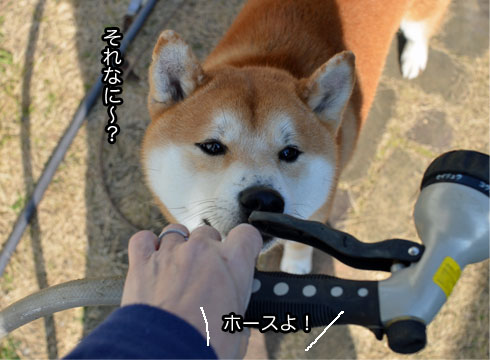 23日ブログ5.jpg