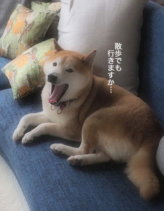 17日ブログ２