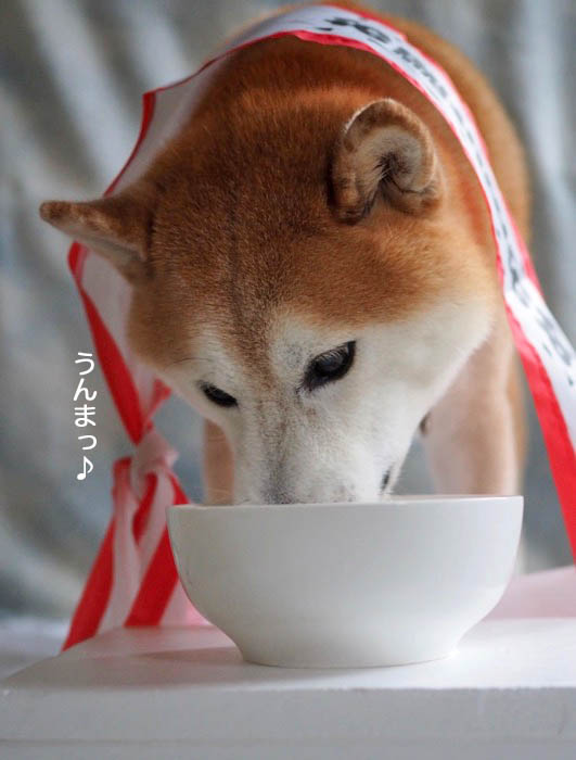 24日夜ブログ４