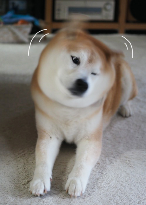 2日ブログ２