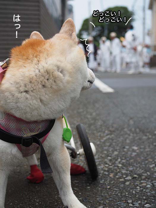 15日ブログ５