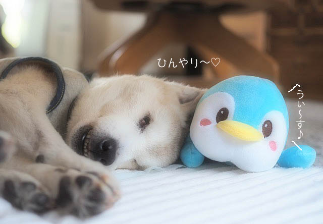 22日ブログ2