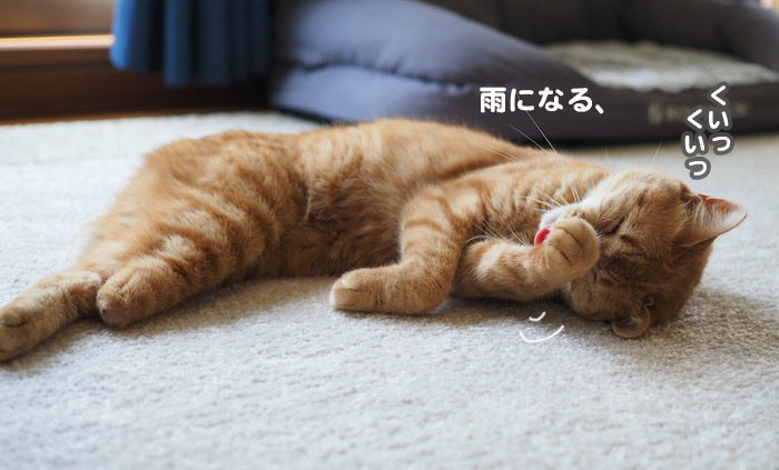 15日夕ブログ４