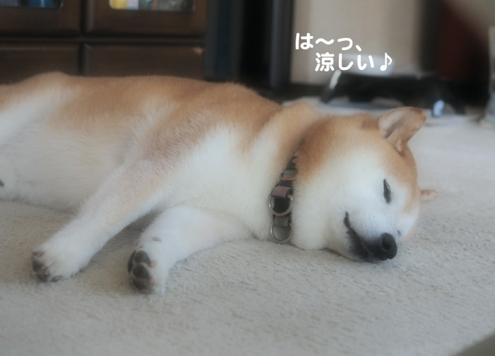 26日ブログ７