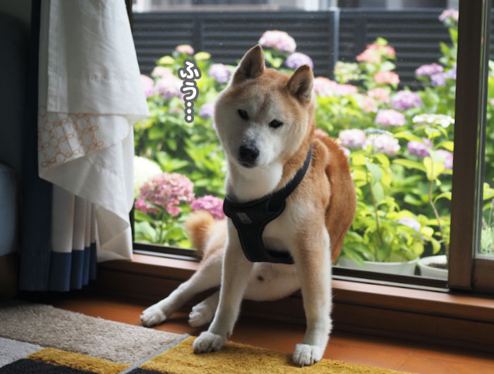 11日ブログ２
