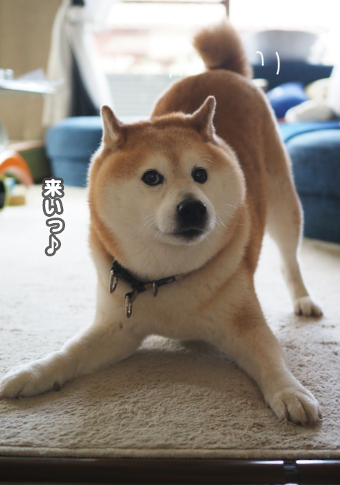 24日ブログ３
