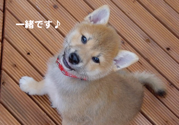 26日ブログ９