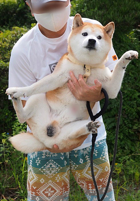 7日夜ブログ６