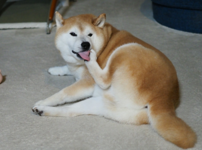 9日夜ブログ２