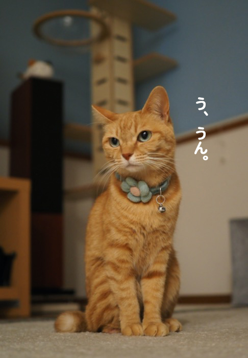 11日夜ブログ２