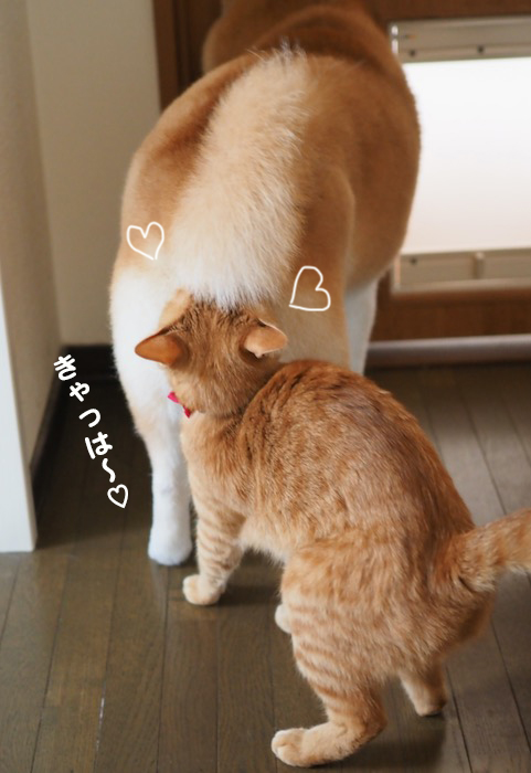9日ブロ３