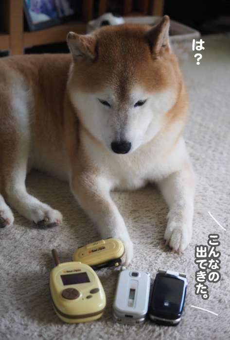 17日夕ブログ４